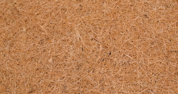 Coconut coir у матраці Organza