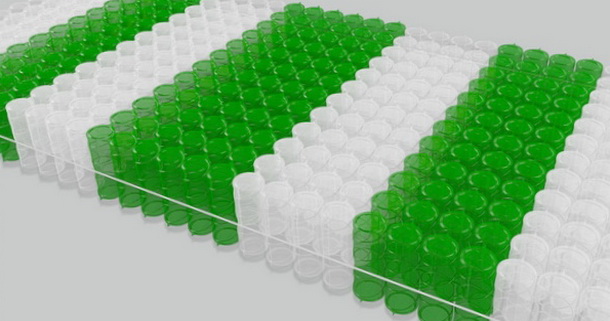 Система пружин Anatomic Multy zone 7 у матраці Evolution