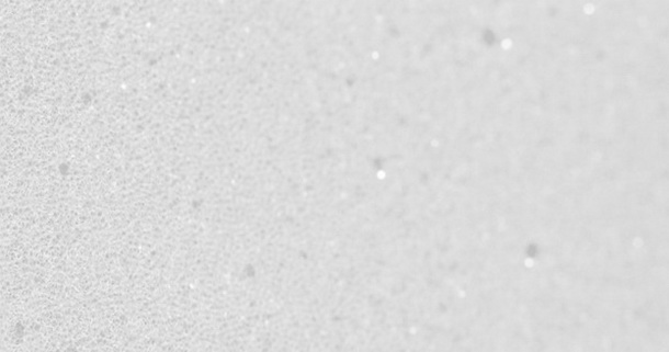 Ортопедична піна Ergoflex у матраці Evolution