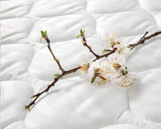 Матрац Віола - Viola Primavera