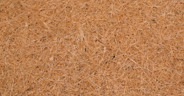 Coconut double coir в матрасе Lotos