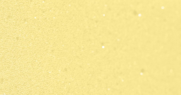 Ортопедична піна Ergoflex у матраці Sleep&Fly Mini